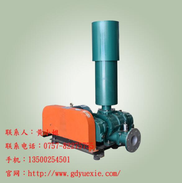 YXR系列三葉羅茨鼓風(fēng)機(jī)簡介原始圖片2