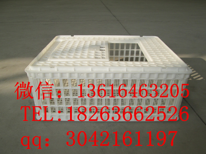 成雞運(yùn)輸筐 塑料運(yùn)輸雞筐 青年雞運(yùn)輸筐