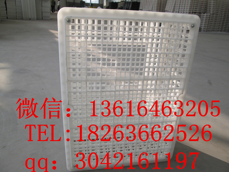 成雞運(yùn)輸筐 塑料運(yùn)輸雞筐 青年雞運(yùn)輸筐原始圖片2