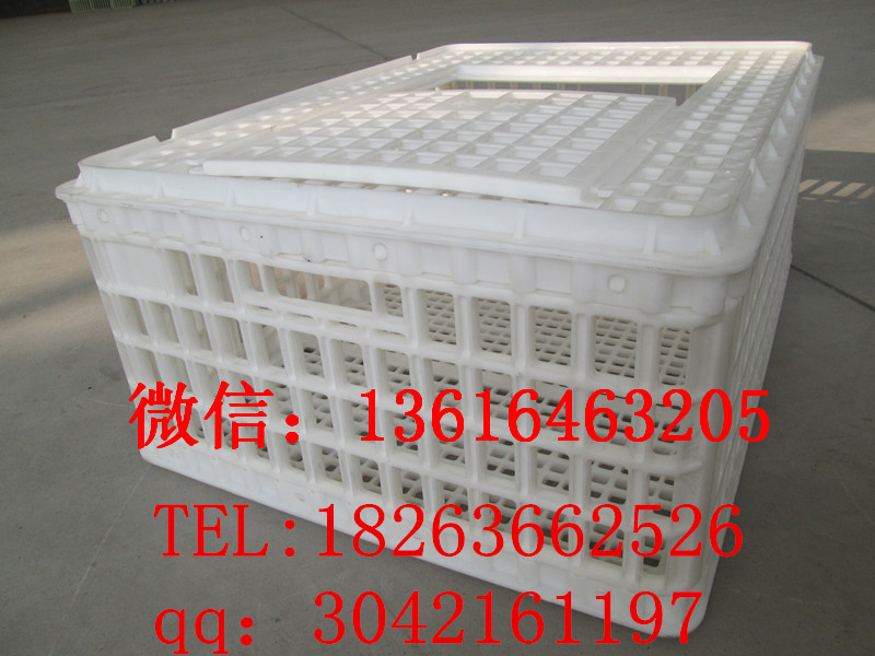 成雞運(yùn)輸筐 塑料運(yùn)輸雞筐 青年雞運(yùn)輸筐原始圖片3