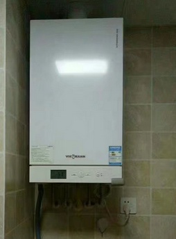 合肥德國菲斯曼WH1D24KW  {bfb}正品