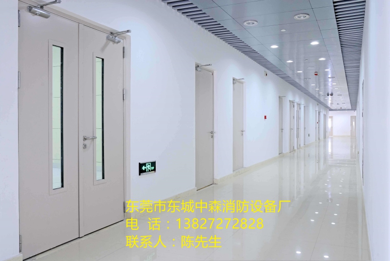 東莞市樟木頭鎮木質防火門廠家