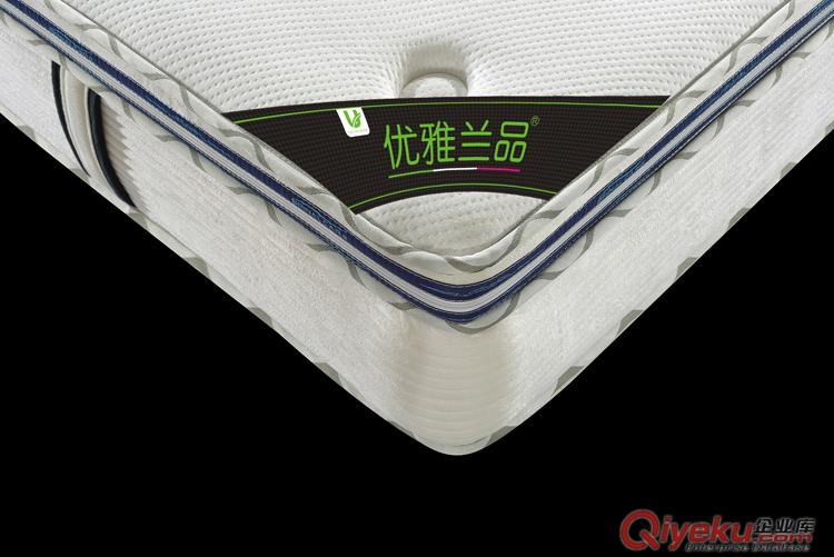tr席夢(mèng)思彈簧床墊環(huán)保3E透氣3D網(wǎng)椰棕乳膠雙人床墊工廠直銷床墊原始圖片2
