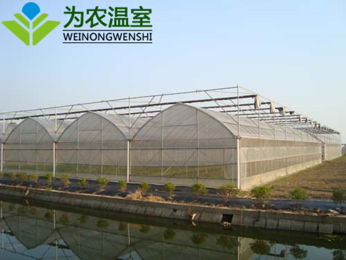 黔东南连栋智能温室建设