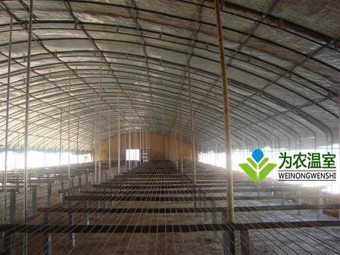 泰兴建造生态温室费用