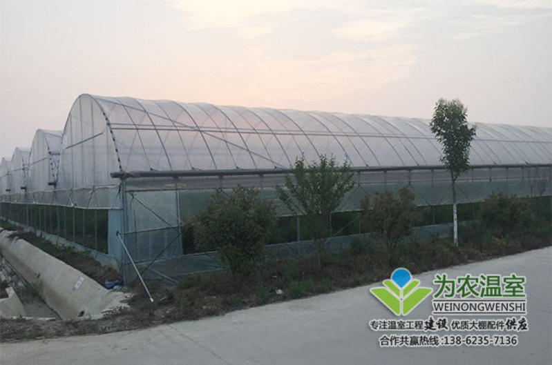 吴江薄膜连栋温室造价