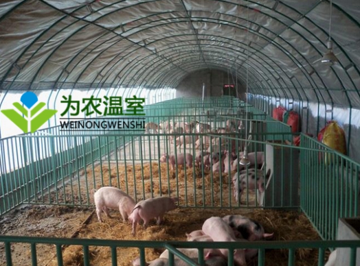 無錫陽光板溫室大棚造價