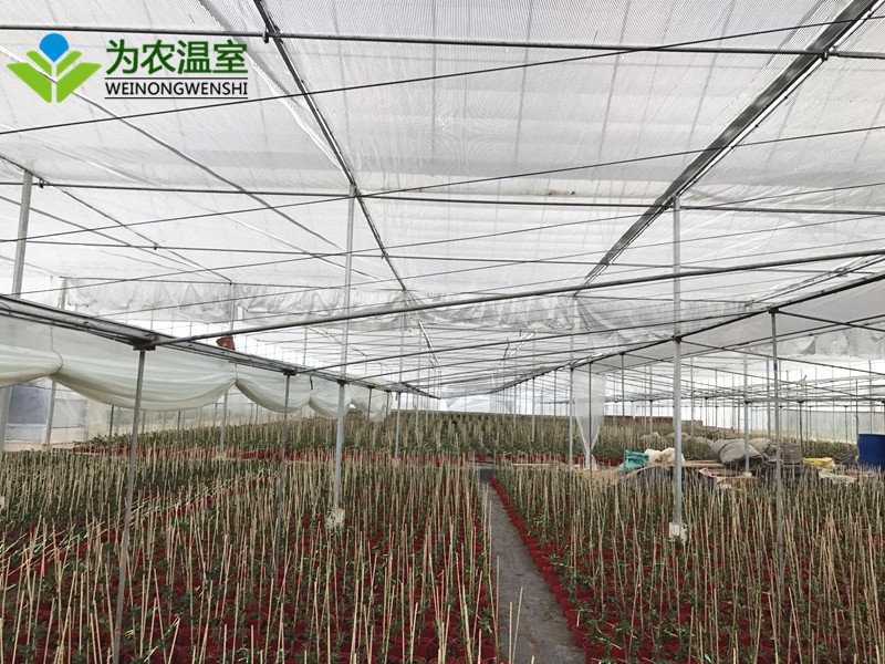 六盘水花卉温室大棚建造