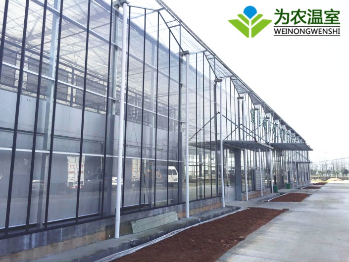 淮北玻璃溫室大棚