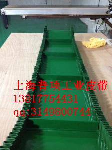  果蔬加工設備md輸送帶輸送帶