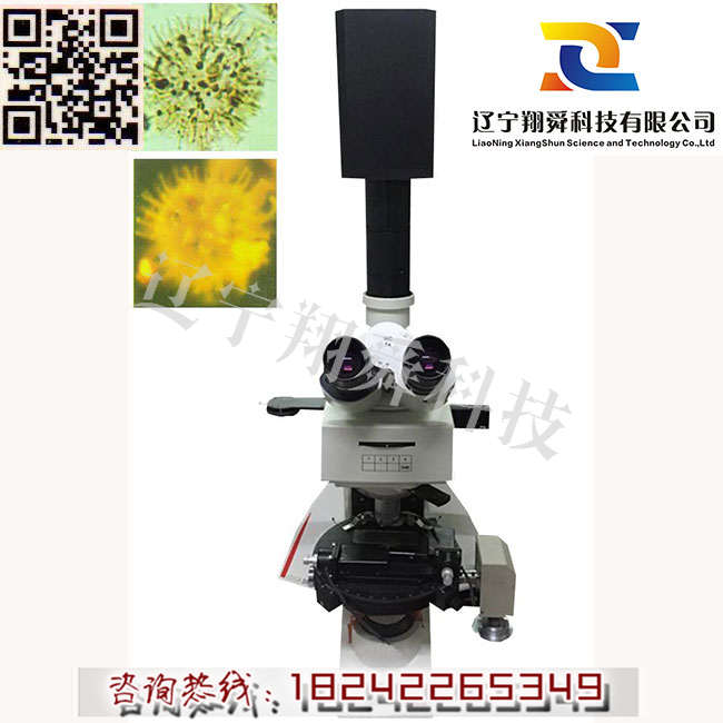 煤巖冷膠模具系統原始圖片3