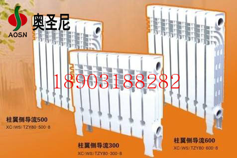 河北廠家生產供應壓鑄鋁雙金屬散熱器UR7009-600原始圖片2