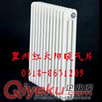 河北廠家生產(chǎn)供應(yīng)鋼制柱型散熱器原始圖片2