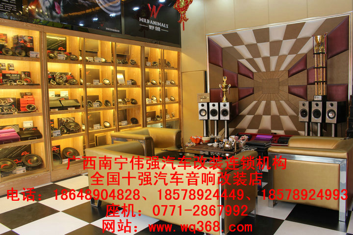 柳州日產(chǎn)陽(yáng)光,天籟,奇駿升級(jí)發(fā)燒級(jí)音響原始圖片2