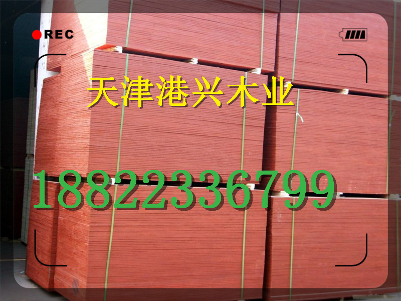 天津建筑木模板供應(yīng)