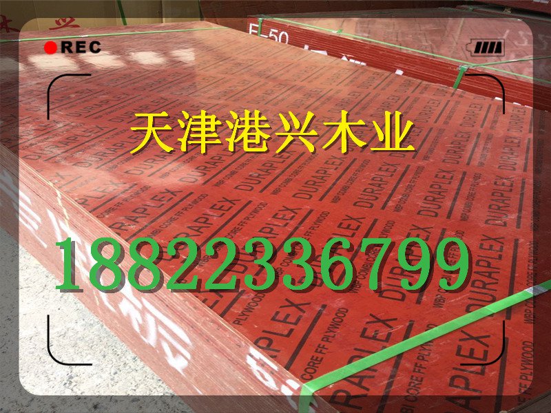天津建筑木模板供應(yīng)