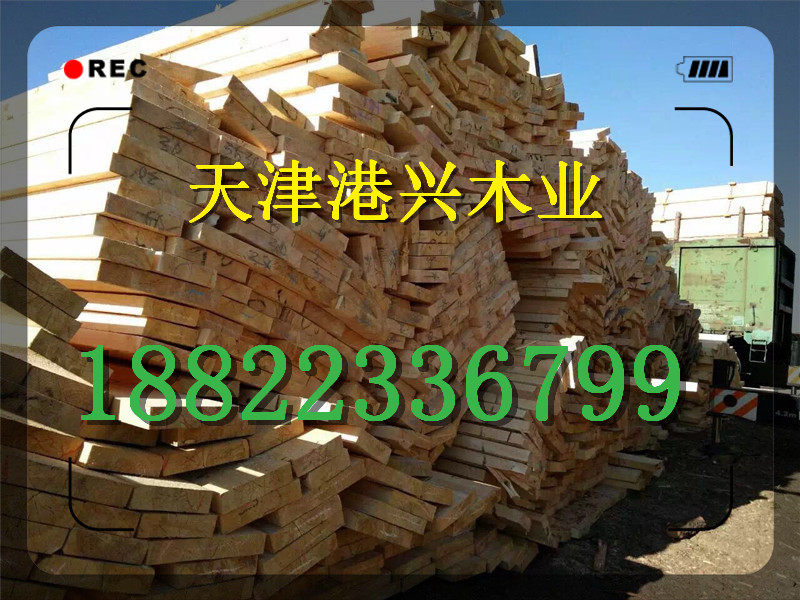 保定落葉松樟加工