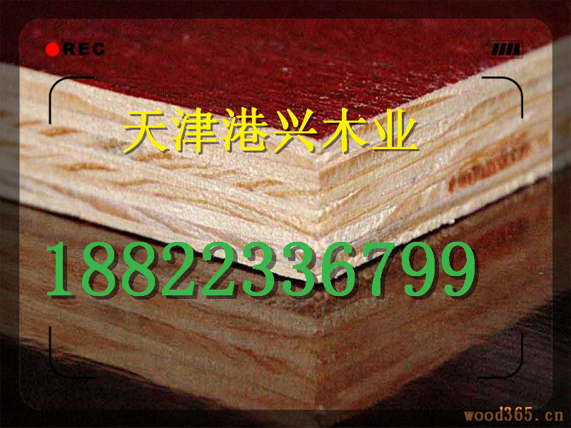 保定落葉松樟加工