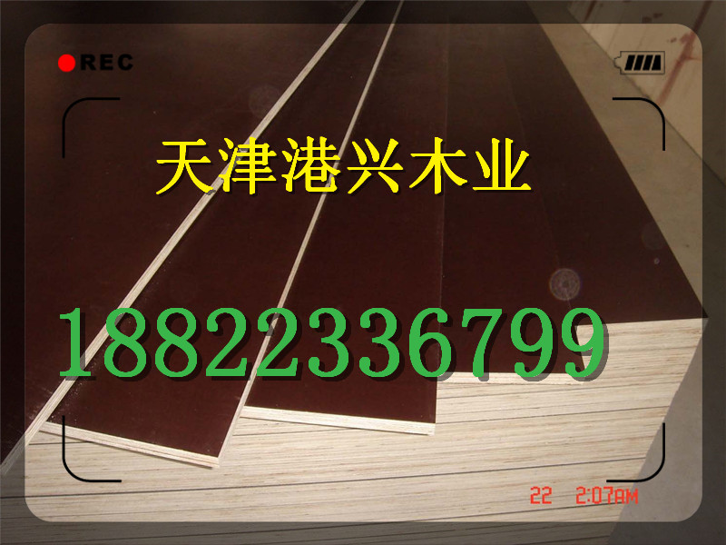 邢台竹模板供应