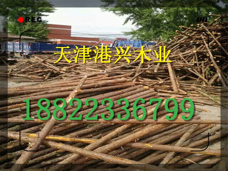 石家莊防腐木廊架廠家