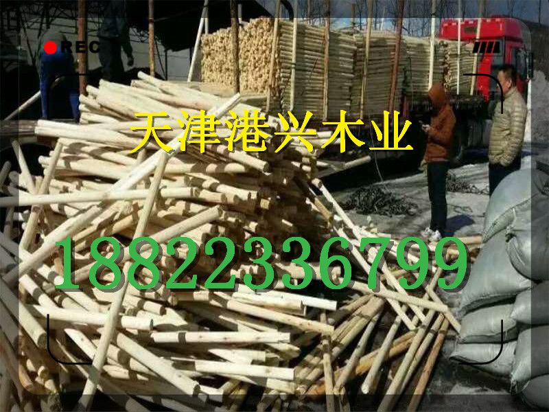 石家庄原木市场