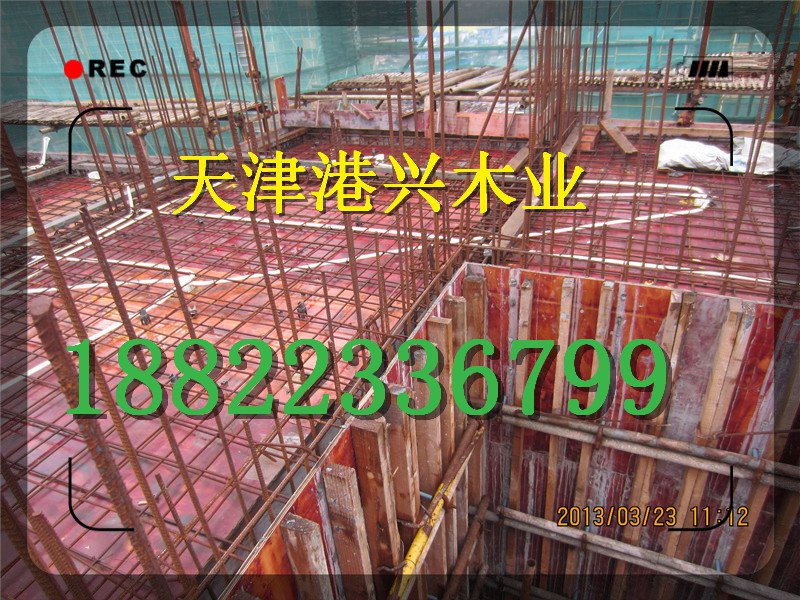 滄州清水模板價格