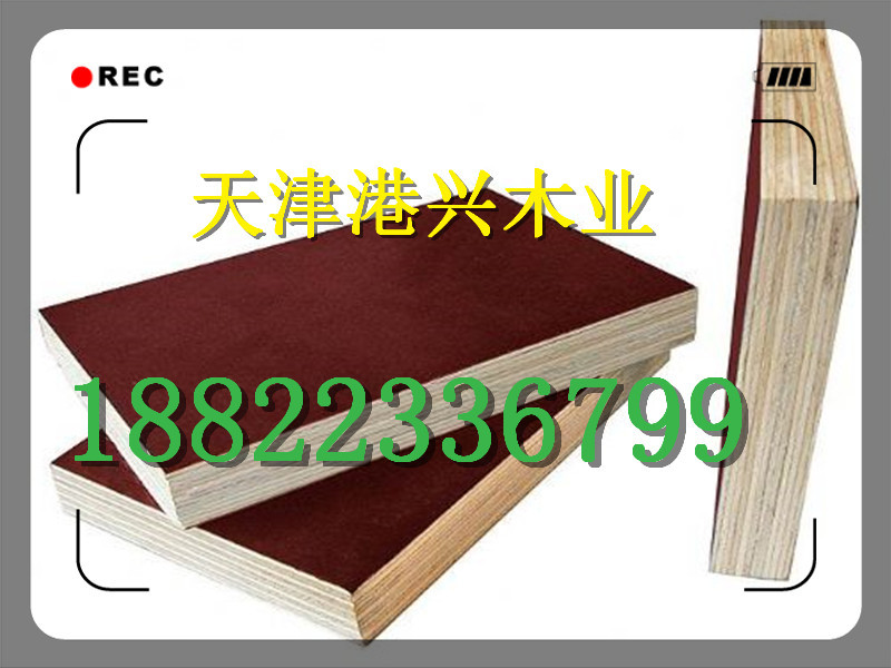 張家口建筑木材批發(fā)