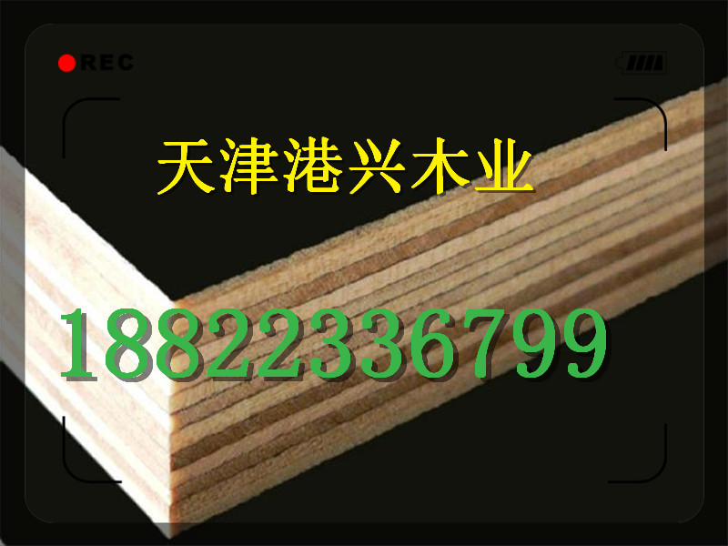 石家庄木模板价格