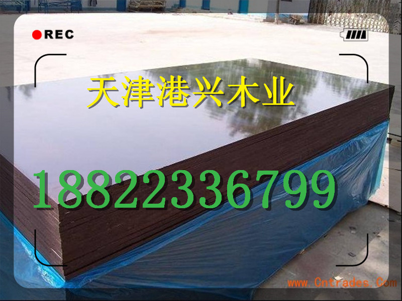 石家莊建筑模板供應