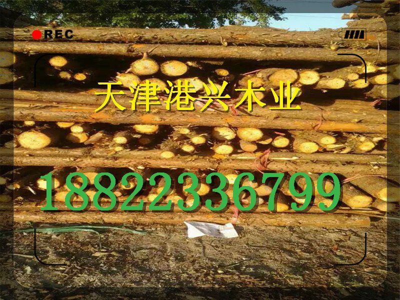 張家口竹模板廠家