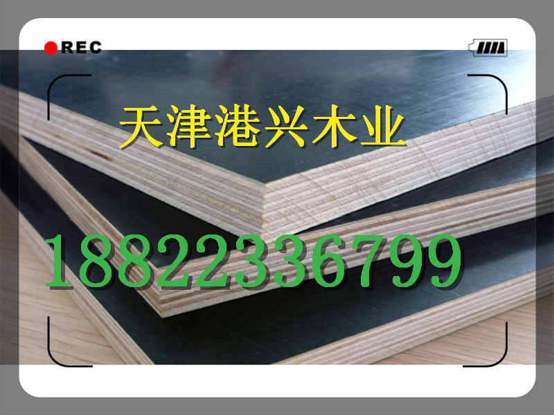 廊坊竹膠板市場(chǎng)