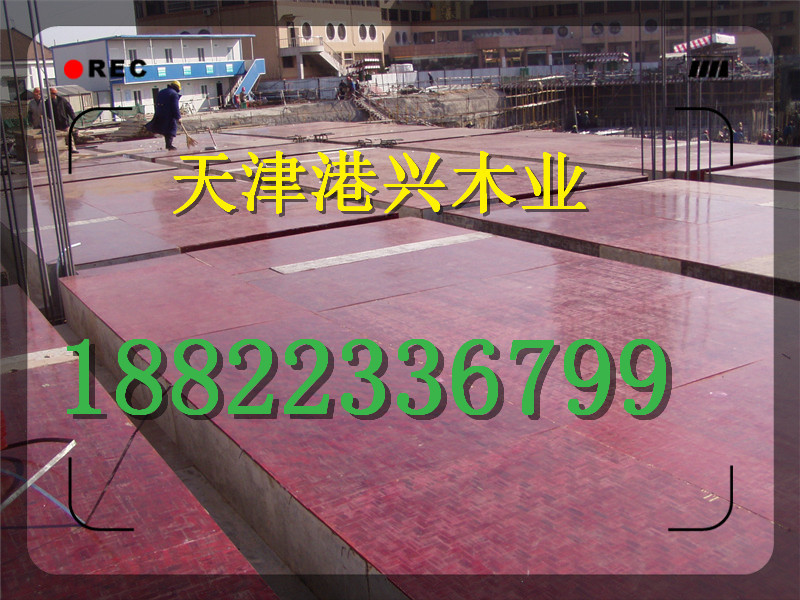 天津建筑木方多少錢