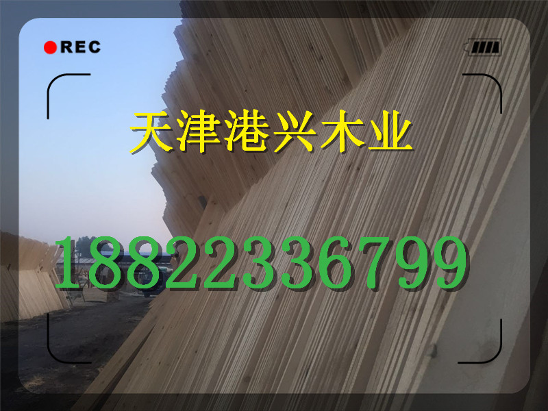 廊坊建筑木模板廠家