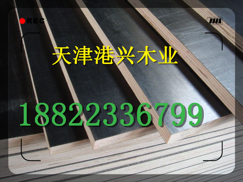 廊坊建筑木模板廠家