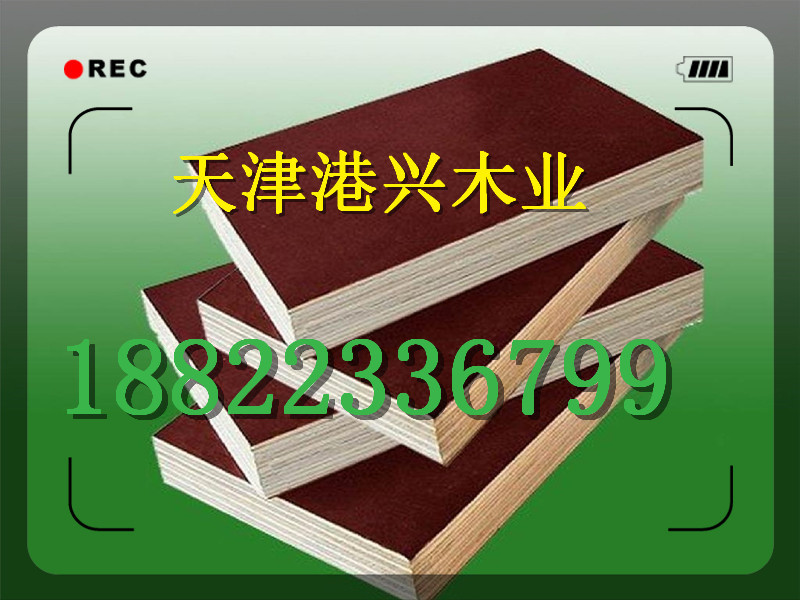 滄州松板材