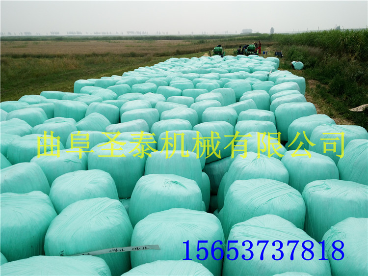 小型玉米秸稈青儲(chǔ)機(jī)價(jià)格是多少DB原始圖片2