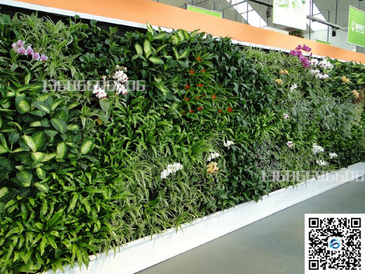 人工植物墙报价