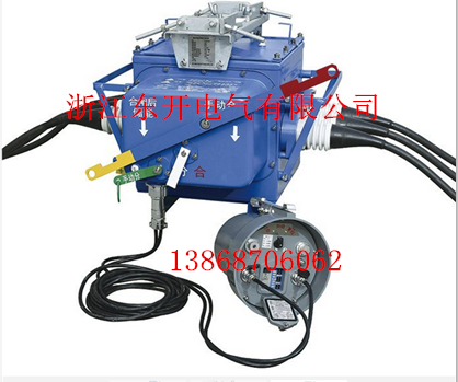 電纜型FZW28-12/630線路用戶看門狗負(fù)荷開關(guān)(俗稱看門狗)帶帽子型控制箱