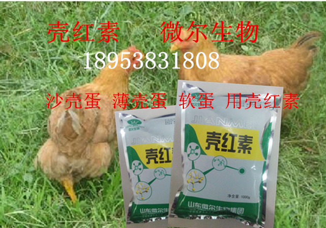 雞鴨鵝蛋禽飼料添加劑品牌-解決沙殼薄殼蛋