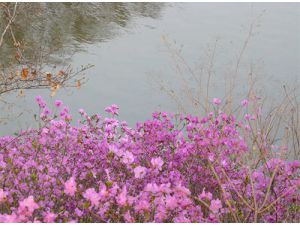 ~【13304449782 金蟾島度假村】沈陽哪個度假村烤全羊好吃