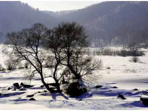 *-沈阳度假村特色烤全羊多少钱*-13304449782-*金蟾岛度假村