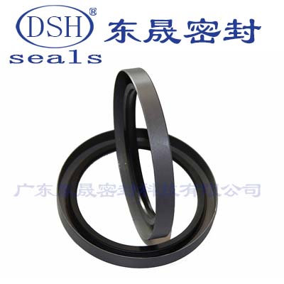 油缸密封骨架油封Oil Seal