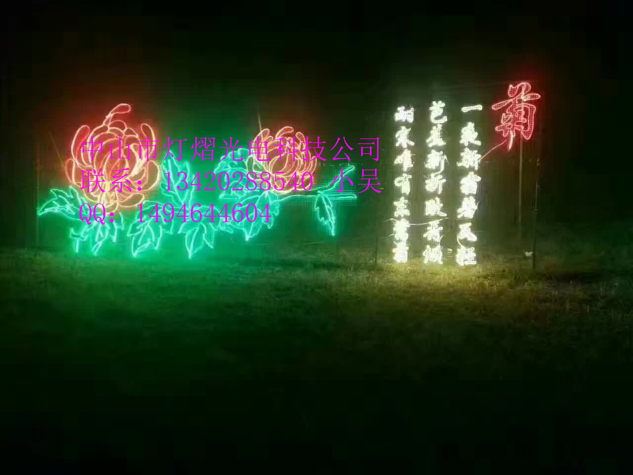 LED景观灯 节日装饰灯 图案灯 过街灯 LED荷花灯