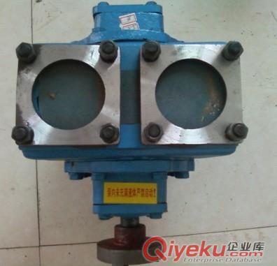 供應100YHCB-100圓弧齒輪泵 車載助力卸油泵原始圖片2