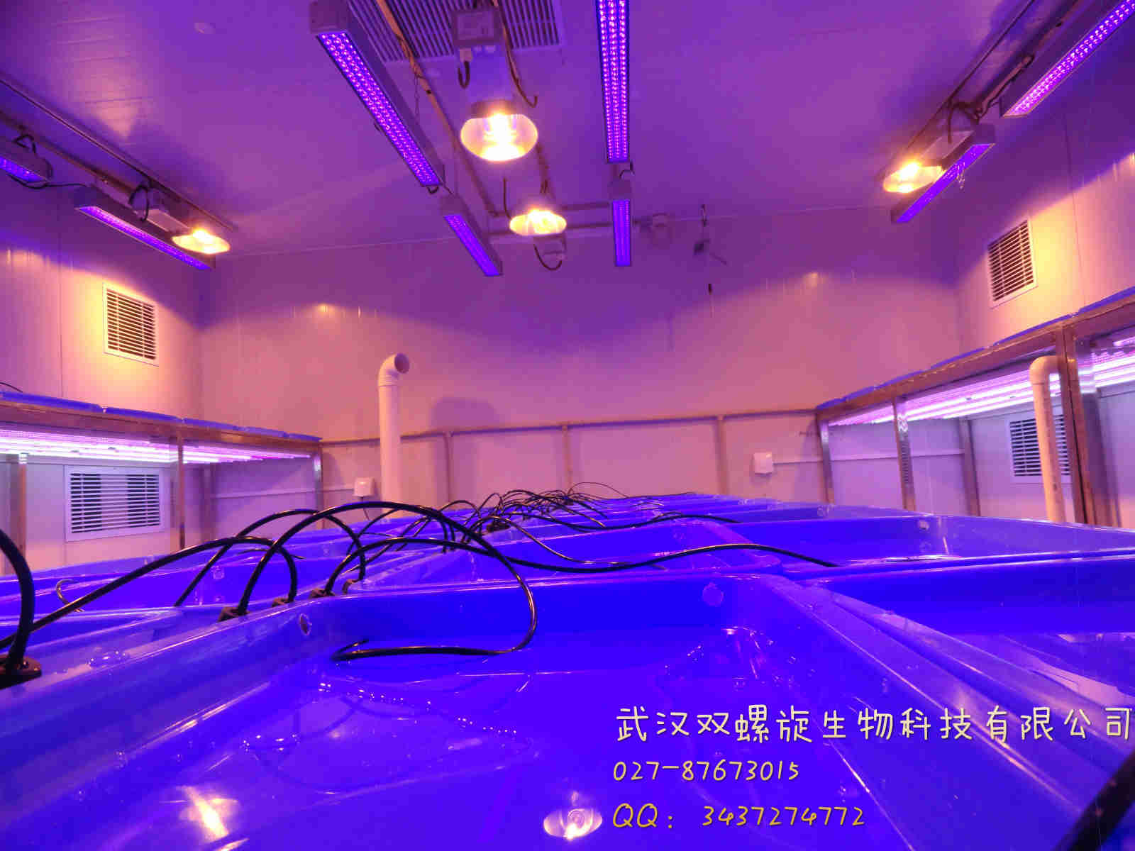 步入式植物生長室 頂置光型人工智能氣候室 節能型植物生長室