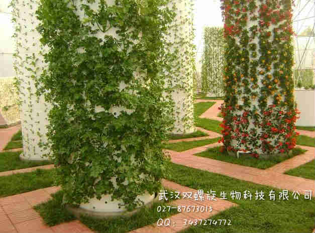 箱式气雾培植物工厂建设 人工光植物工厂 密闭式植物工厂