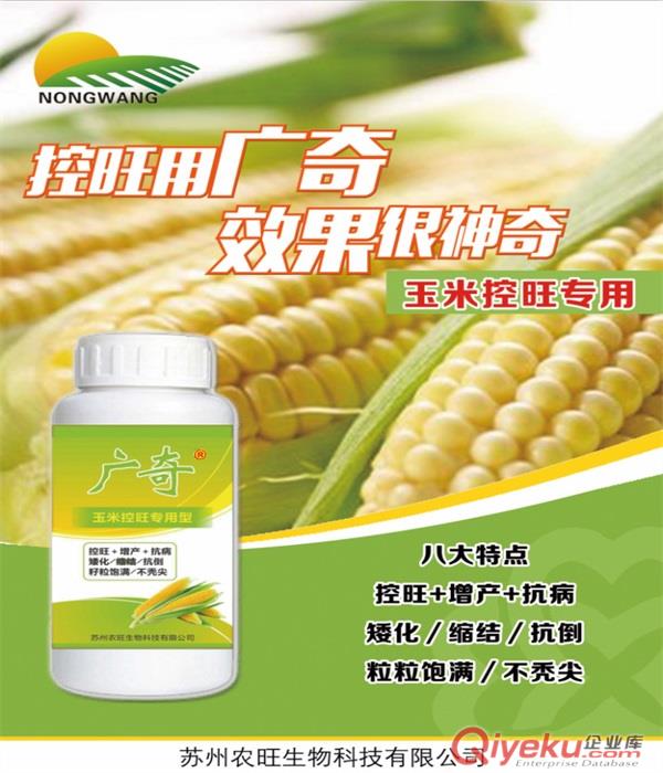 玉米控旺增產葉面肥 玉米控旺劑 玉米葉面肥 玉米葉面肥廠家-顆粒飽滿不禿尖抗病高產