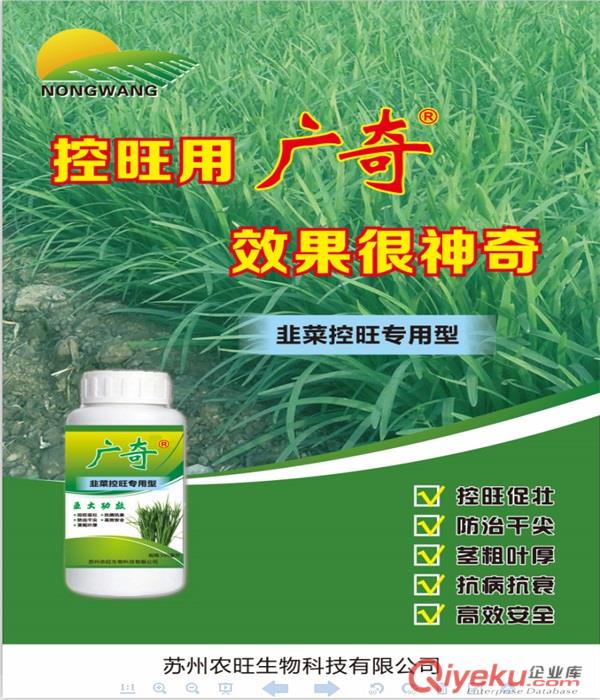韭菜控旺增產(chǎn)葉面肥 韭菜葉面肥 韭菜葉面肥廠家 韭菜葉面肥價(jià)格-莖粗葉厚防治干尖抗病高產(chǎn)原始圖片2
