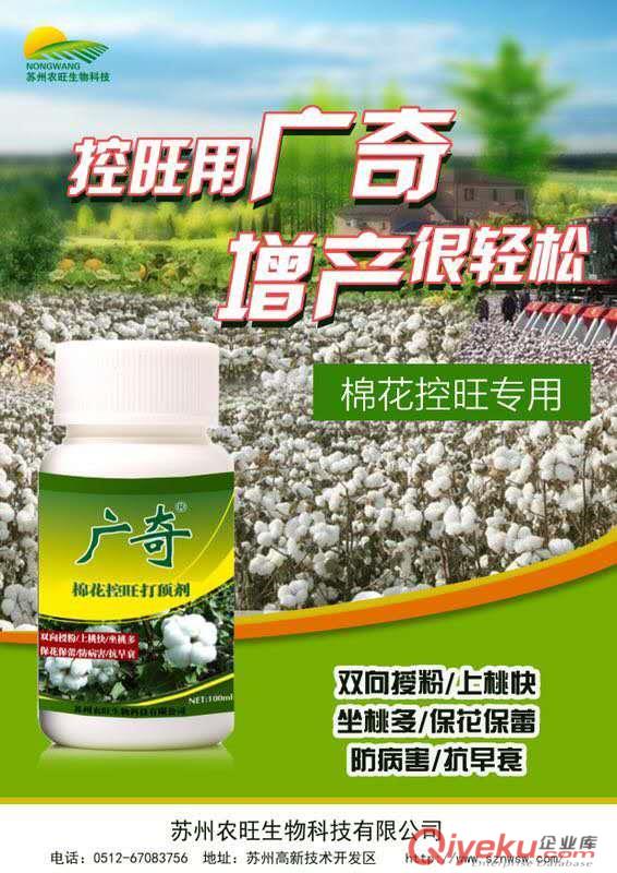 棉花控旺打頂葉面肥 棉花授粉增加坐果葉面肥 棉花葉面肥廠家-控旺打頂?；ū＠僭紙D片2