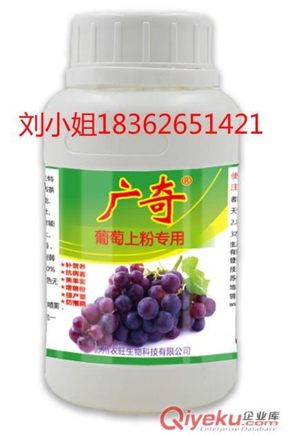 壯苗增產型葉面肥 葉面肥廠家 葉面肥價格 葉面肥代加工-強根壯苗?；ū９? />
            
            <br/>上一圖集</a>
        
    </div>
    <div   id=